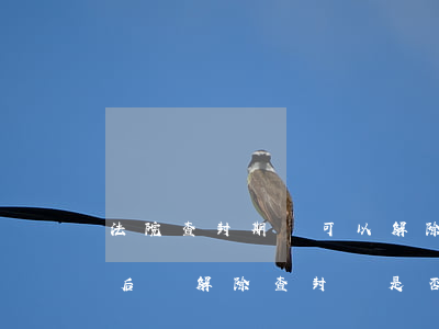 法院查封期間可以解除合同嗎(法院查封到期后沒解除查封還是否有效)