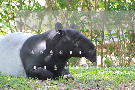 法院查封狀態(tài)的車輛可以年檢嗎(車輛查封狀態(tài)能年檢嗎)