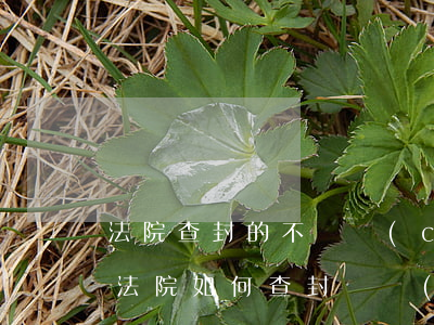 法院查封的不動產(chǎn)可以出租嗎(法院如何查封動產(chǎn))