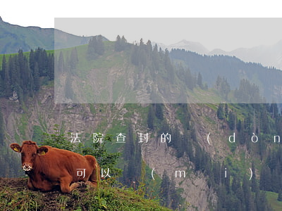法院查封的動(dòng)產(chǎn)可以買(mǎi)賣(mài)嗎(查封的不動(dòng)產(chǎn)可以買(mǎi)賣(mài)嗎)