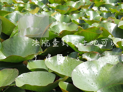 法院查封的土地可以開(kāi)發(fā)建設(shè)嗎(被法院查封的土地可以辦理施工許可證嗎)