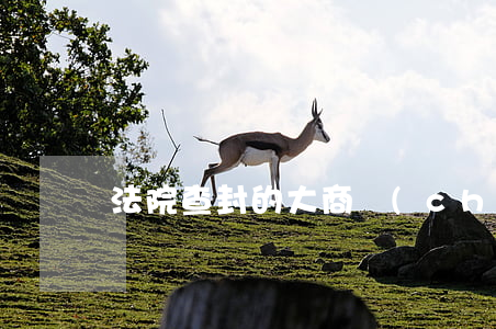法院查封的大商場(chǎng)可以分證嗎