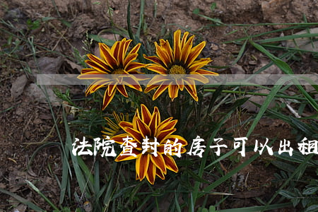法院查封的房子可以出租嗎