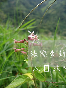 法院查封的房子可以判給債權(quán)人嗎(法院查封的房子可以判給債權(quán)人嗎)
