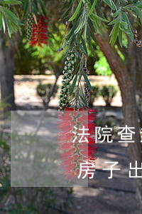 法院查封的房子可以向法院租嗎(法院查封的房子出租出去的后果嚴(yán)重嗎)