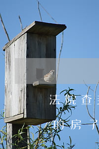 法院查封的房子拍卖可以买卖吗(被法院查封的房子可以交易吗)