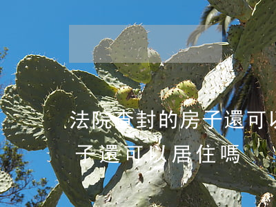 法院查封的房子還可以居住嗎(法院查封的房子還可以居住嗎)
