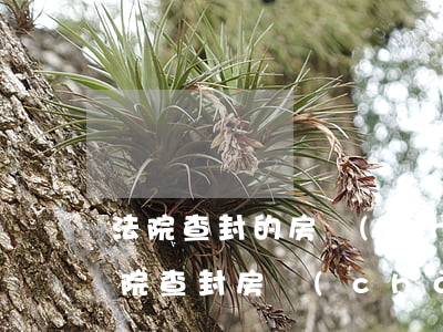 法院查封的房產(chǎn)可以出售嗎(法院查封房產(chǎn)可以直接變賣)