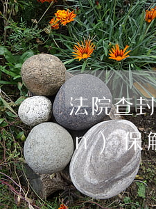 法院查封的房產(chǎn)可以擔(dān)保解封嗎(擔(dān)保人的房子能查封嗎)