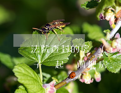 法院查封的房產(chǎn)可以過戶給孩子嗎(起訴前把房產(chǎn)過戶給孩子還能被執(zhí)行嗎)