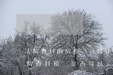 法院查封的房租還可以正常居住嗎(房屋被法院查封 租戶是否可以繼續(xù)住)
