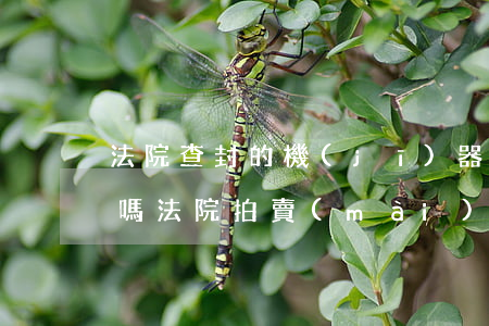法院查封的機(jī)器可以買(mǎi)嗎(法院拍賣(mài)的機(jī)器設(shè)備靠譜嗎)