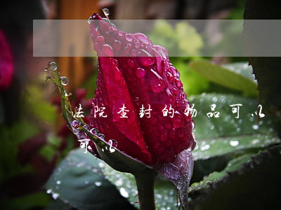 法院查封的物品可以買賣嗎(法院查封的物品可以買賣嗎)