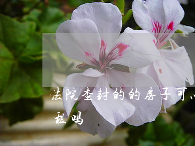 法院查封的的房子可以租吗(查封房子可以出租吗?)