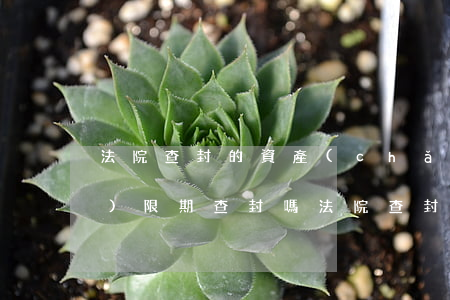 法院查封的資產(chǎn)可以無(wú)限期查封嗎(法院查封的不動(dòng)產(chǎn)最長(zhǎng)期限)