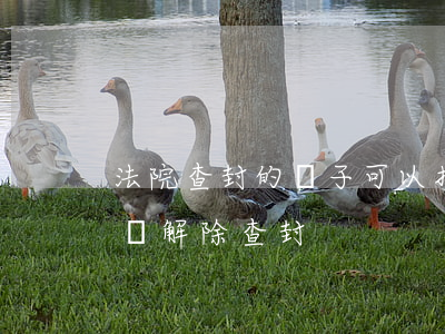 法院查封的車子可以拍賣嗎(法院拍賣車怎么樣解除查封)