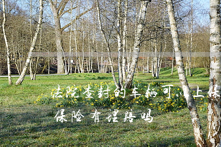 法院查封的车辆可以上保险吗(法院查封车辆保险有理赔吗)