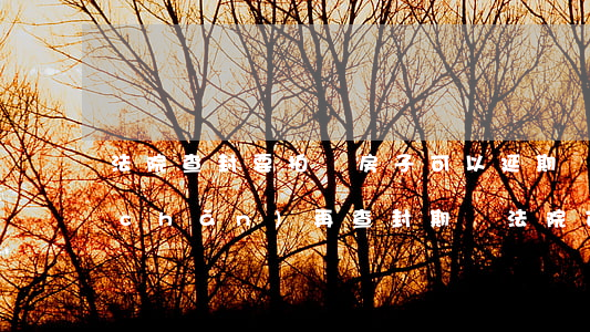 法院查封要拍賣房子可以延期嗎(如果房產(chǎn)再查封期間,法院可以進(jìn)行拍賣嗎)