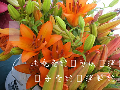 法院查封車可以辦理預(yù)登記嗎(法院車子查封辦理解封手續(xù)需要什么)
