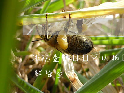 法院查封車輛可以拍賣嗎(法院拍賣車怎么樣解除查封)