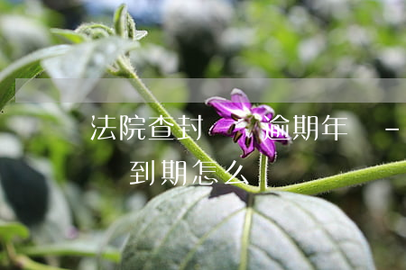 法院查封車輛逾期年檢-車輛被法院查封,年審到期怎么辦