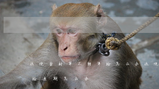 法院查封车不能年检怎么办（法院查封的车年检逾期怎么办）