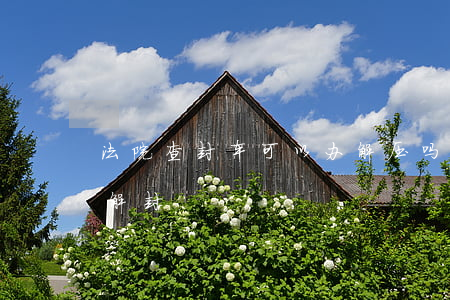 法院查封车可以办解压吗(查封车怎样才可以解封)