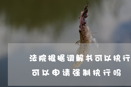 法院根据调解书可以执行吗(法院出的调解书可以申请强制执行吗)