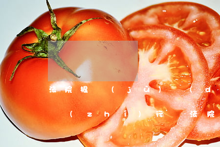 法院根據(jù)調(diào)解書可以執(zhí)行嗎(法院出的調(diào)解書可以申請(qǐng)強(qiáng)制執(zhí)行嗎)