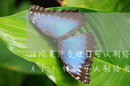 法院案件受理費可以刷信用卡嗎(法院執(zhí)行款可以刷信用卡嗎)