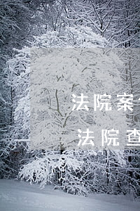 法院案件可以委托別人查詢嗎(可以打電話給法院查詢自己的案件嗎)