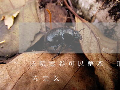 法院案卷可以整本復印嗎(被告可以復印全部卷宗么)