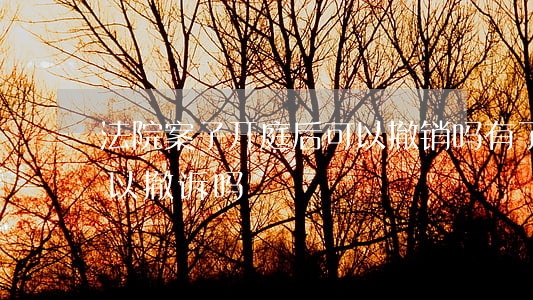 法院案子开庭后可以撤销吗(有了开庭时间可以撤诉吗)