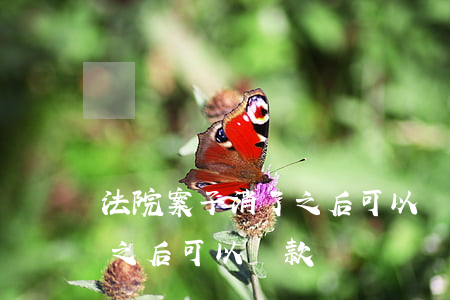 法院案子消了之后可以貸款嗎(法院案子消了之后可以貸款嗎)