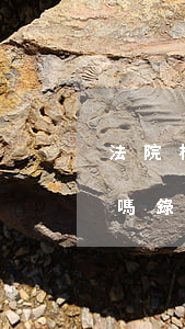 法院檔案可以當(dāng)證據(jù)嗎(錄像可以作為法律證據(jù)嗎)