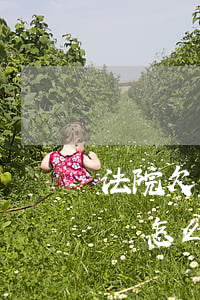 法院欠的錢沒有能力還怎么辦（法院無力償還錢怎么辦）