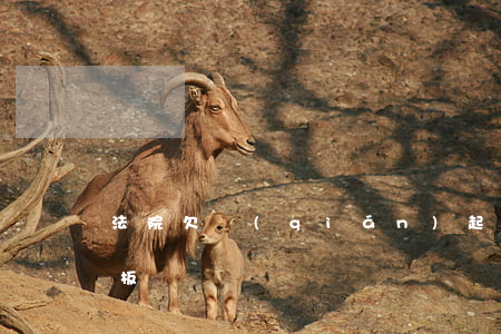 法院欠錢(qián)起訴單(法院起訴單模板)