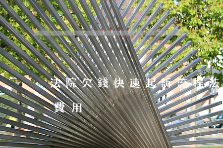 法院欠錢快速起訴流程(法院欠錢起訴流程及費用)