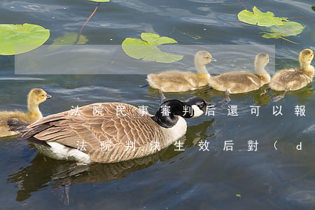 法院民事審判后還可以報(bào)警嗎(有法院判決生效后,對(duì)方不給,可以報(bào)警嗎?)