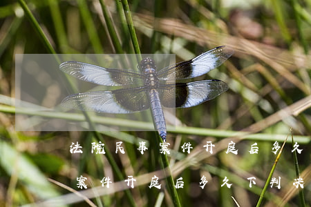 法院民事案件开庭后多久下判决书(法院民事案件开庭后多久下判决书)