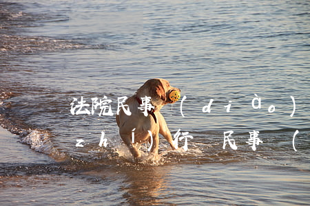 法院民事調(diào)解書可以申請執(zhí)行嗎(民事調(diào)解書的強(qiáng)制執(zhí)行申請書)