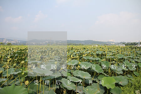 法院民事诉讼立案后多久开庭(民事诉讼法院受理后多久开庭)