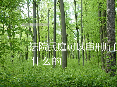 法院民庭可以审刑厅的案子吗(法院刑庭是干什么的)