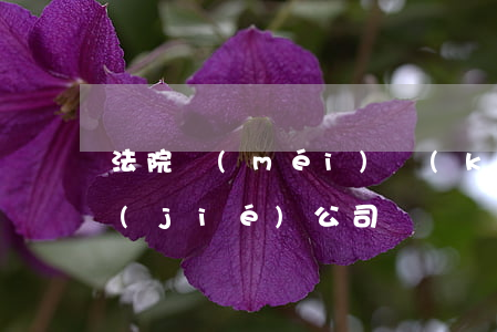 法院沒(méi)開(kāi)庭可以凍結(jié)公司賬戶嗎(還沒(méi)有開(kāi)庭就可以凍結(jié)個(gè)人的)