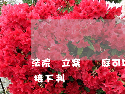 法院沒立案沒開庭可以下宣判書嗎(沒開庭直接下判決書)