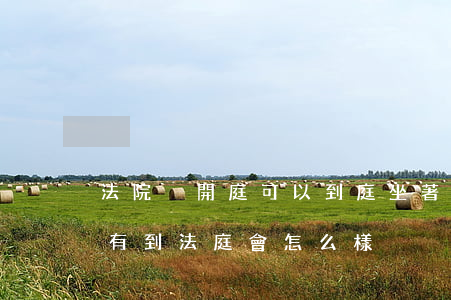 法院沒開庭可以到庭坐著嗎(法院開庭如果沒有到法庭會怎么樣)
