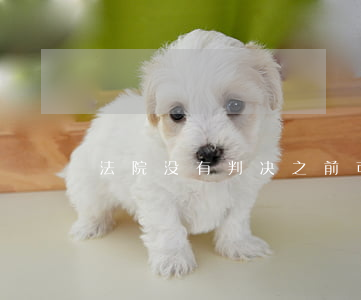 法院没有判决之前可以双开吗