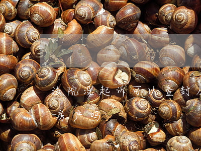 法院没起诉可以查封房产吗(不起诉可以查封房产吗)