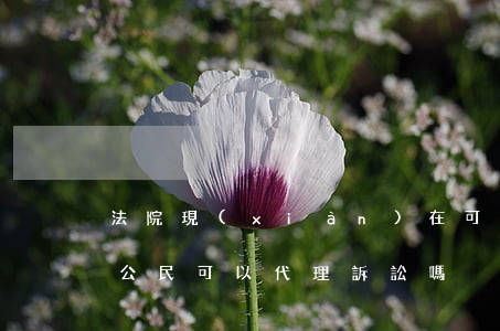 法院現(xiàn)在可以公民代理嗎(普通公民可以代理訴訟嗎)