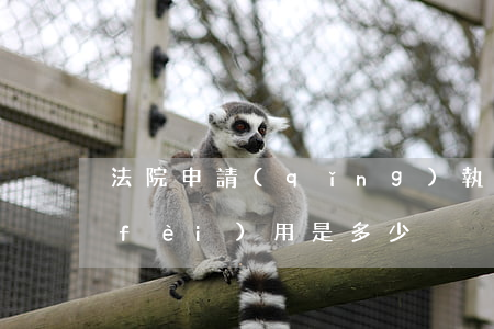 法院申請(qǐng)執(zhí)行費(fèi)用是多少